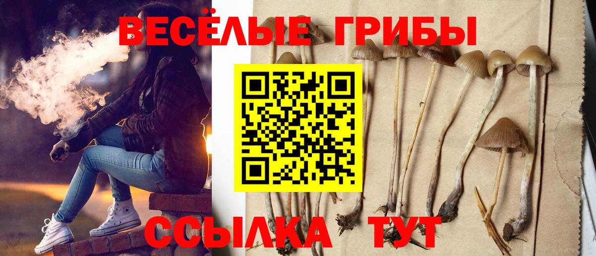 Галлюциногенные грибы прущие грибы Новоалександровск